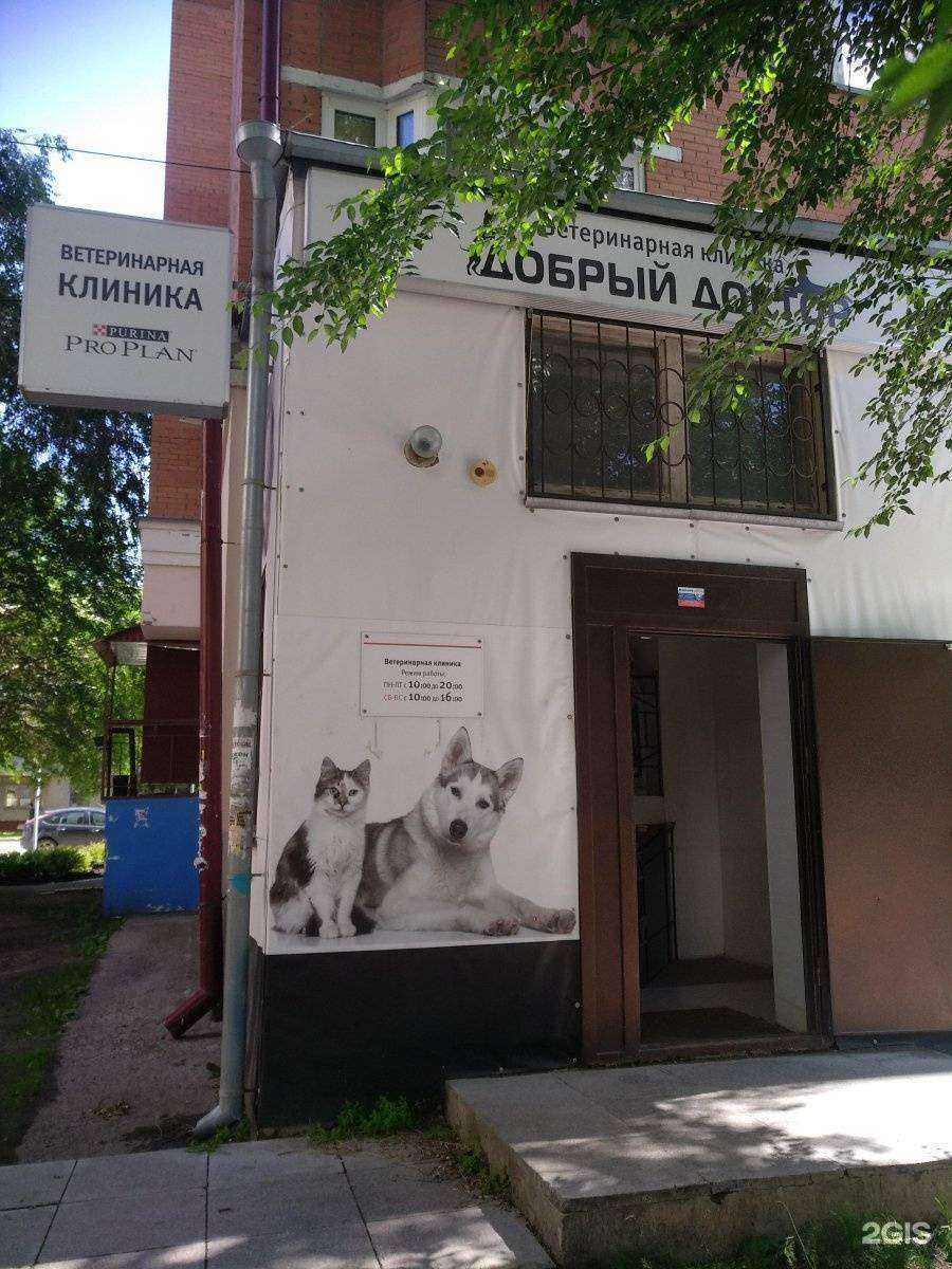 Отзывы на компанию Добрый доктор в Тюмени c фото