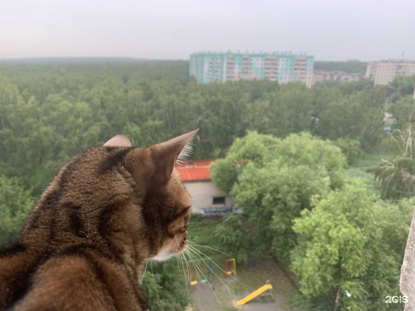 Отзывы на компанию Птенчик в Челябинске c фото - фотография 2 из 2