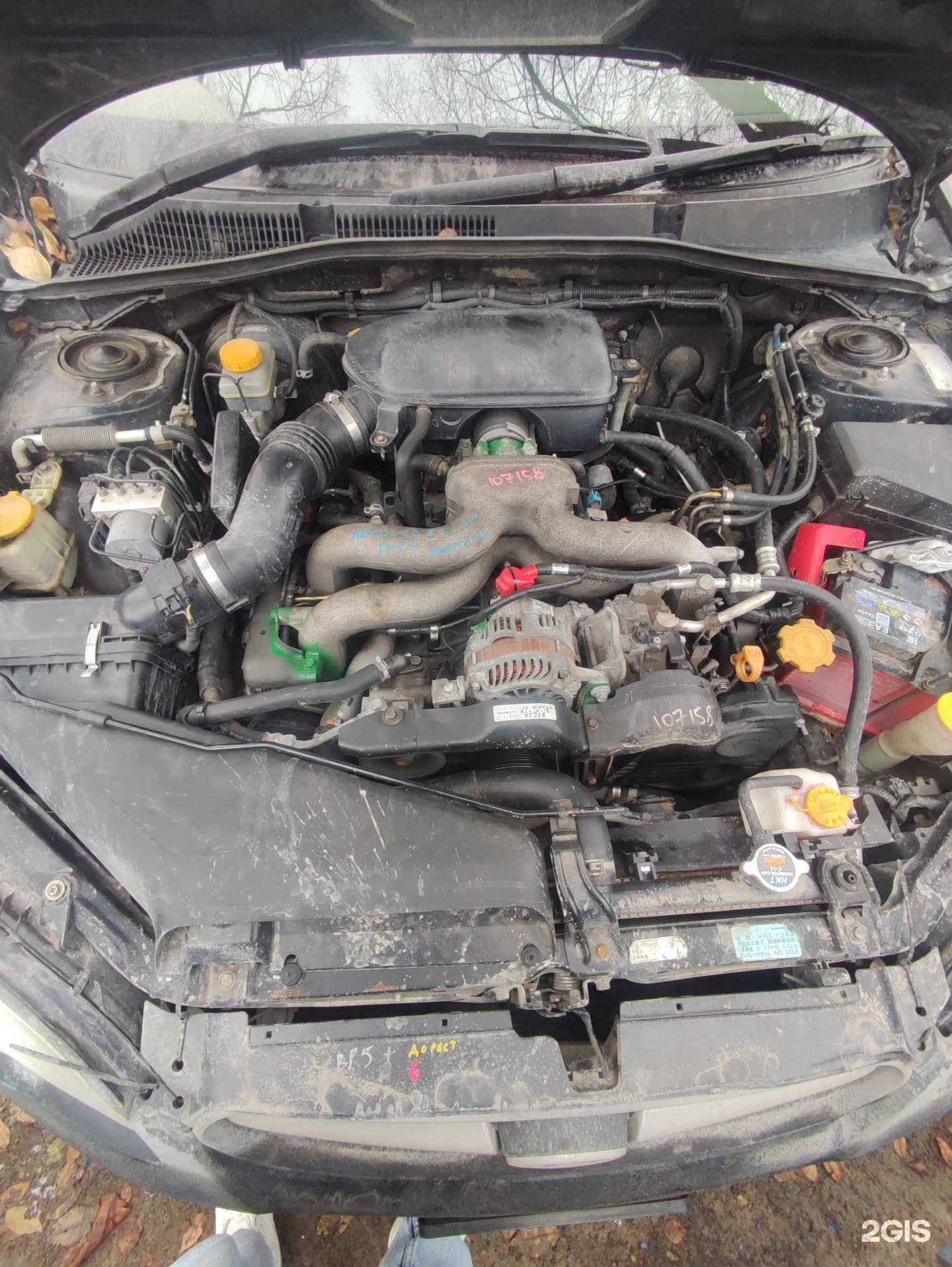 Отзывы на компанию Широни в Тюмени c фото - фотография 2 из 2