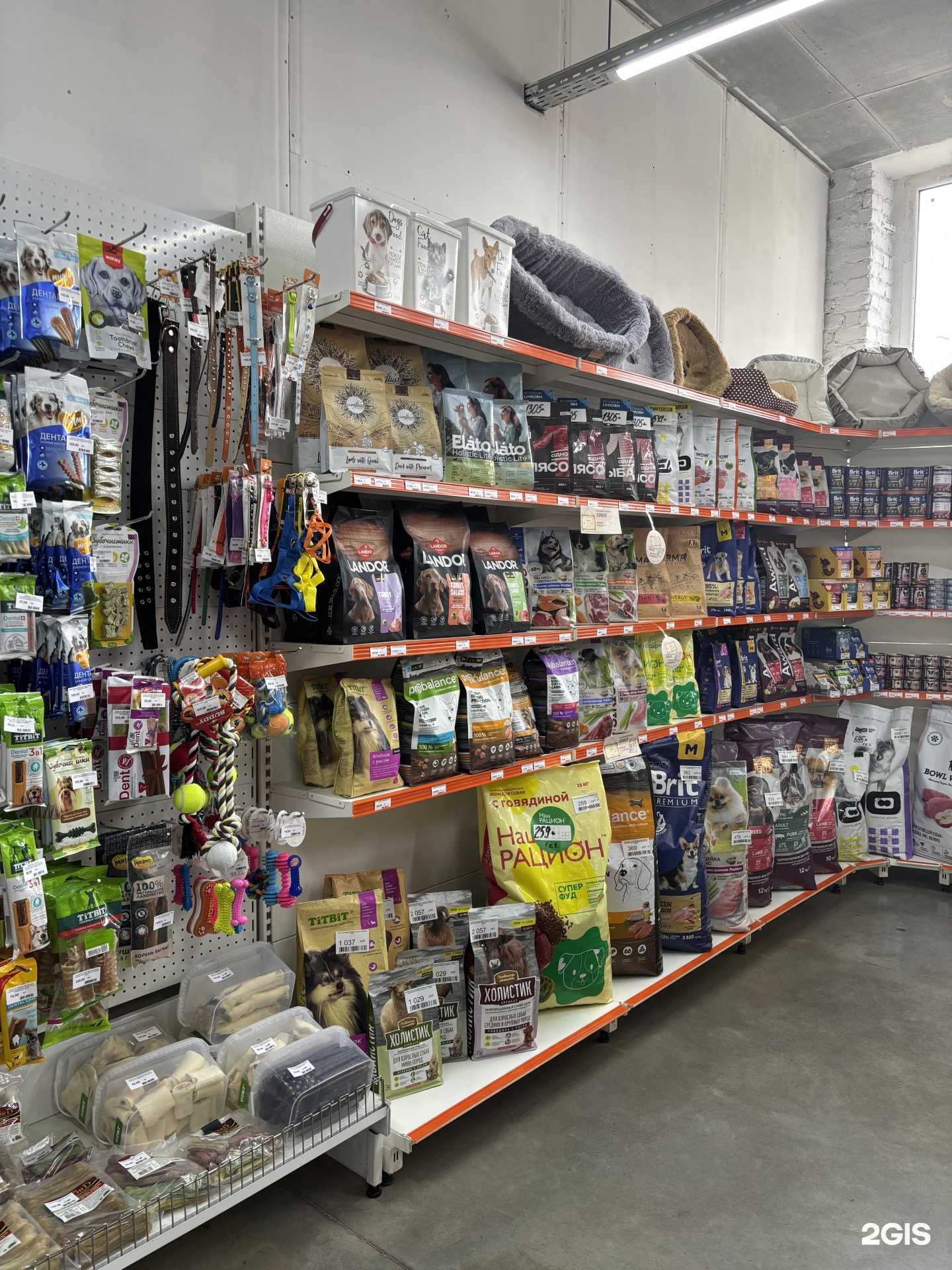 Отзывы на компанию 4 лапы в г. Магнитогорск c фото