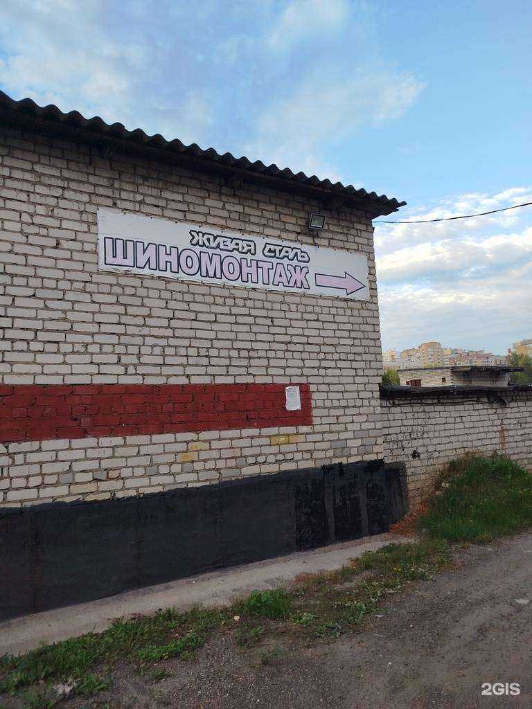 Отзывы на компанию Живая сталь в Нижнем Новгороде c фото