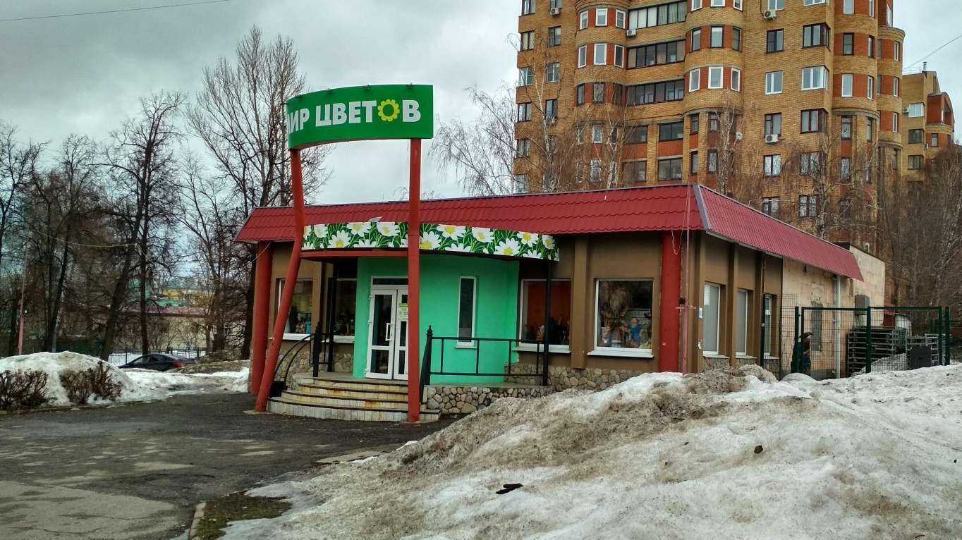 Отзывы на компанию Мир цветов в Чебоксарах c фото