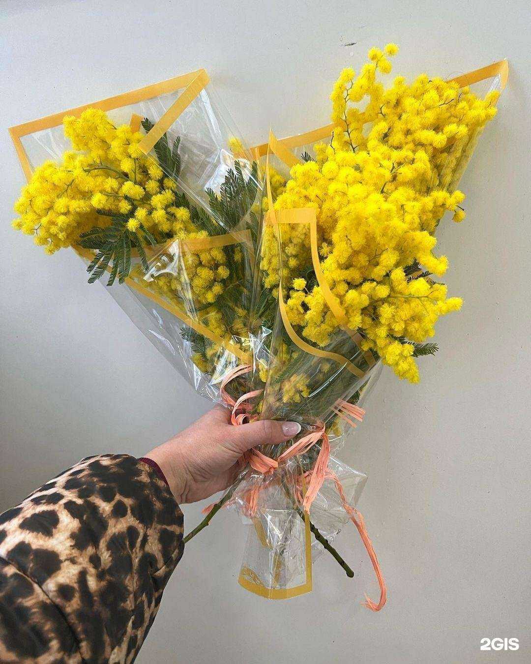 Отзывы на компанию Прованс в г. Солнечногорск c фото