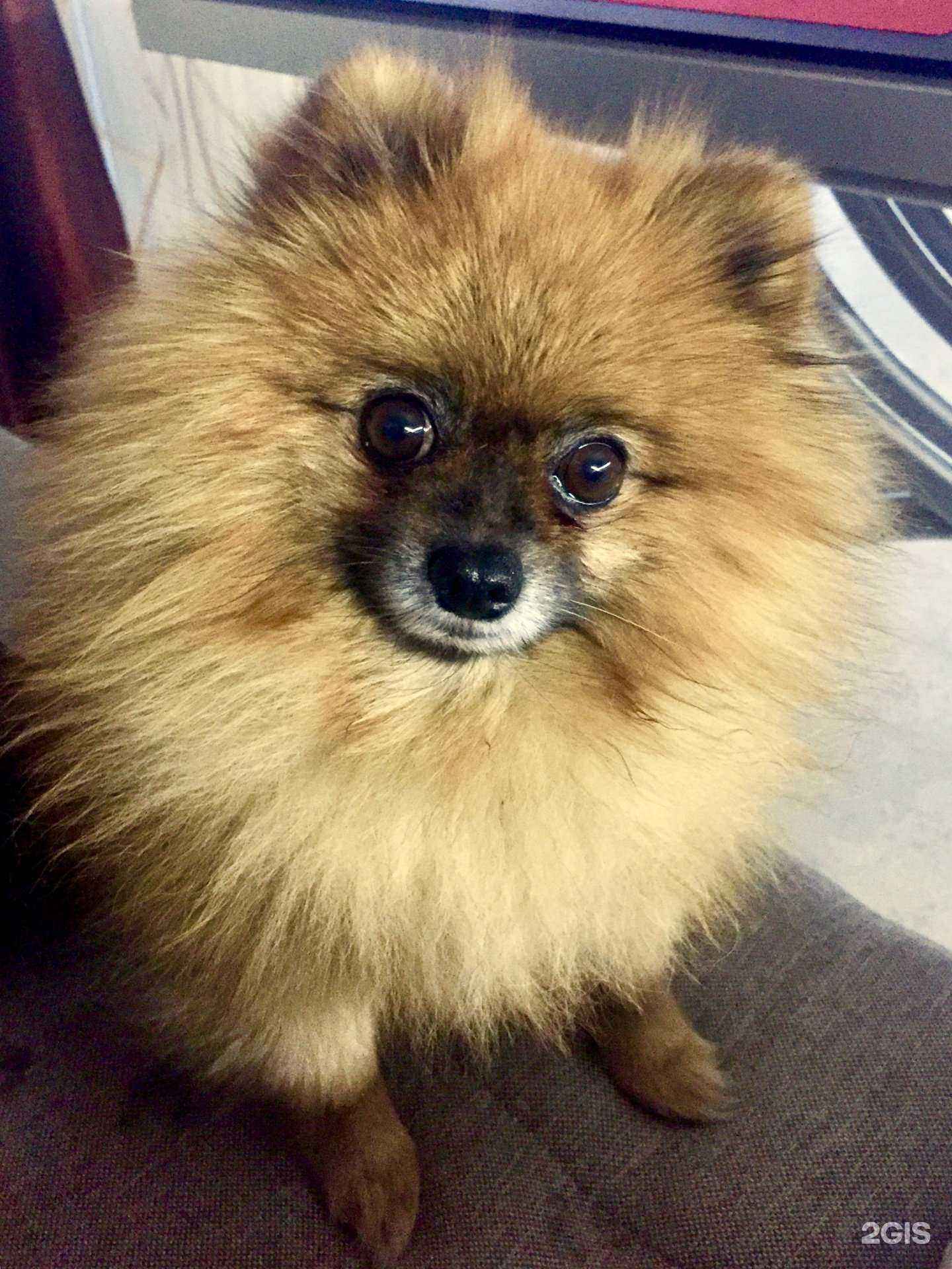 Отзывы на компанию Адвокатский кабинет Шундеева А.В. в Челябинске c фото