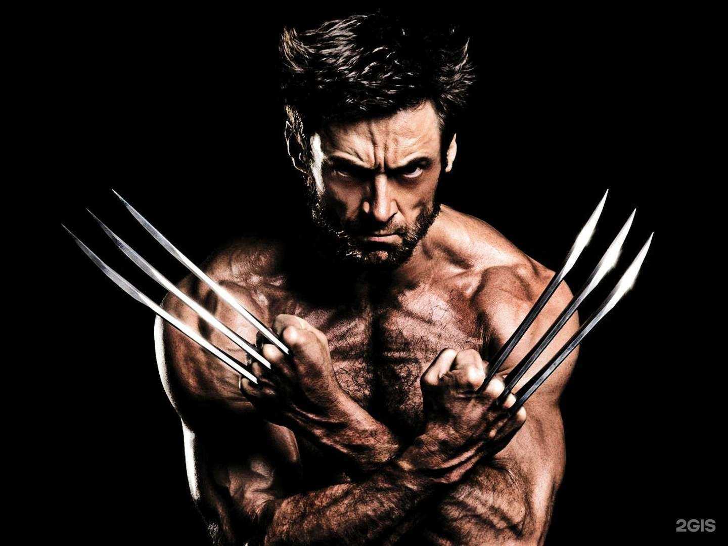 Отзывы на компанию Irbis в Липецке c фото