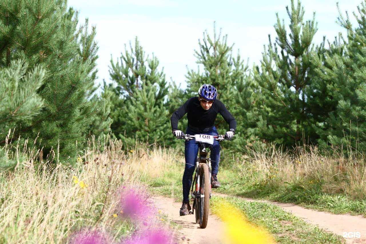 Отзывы на компанию Swiftman в Кирове c фото