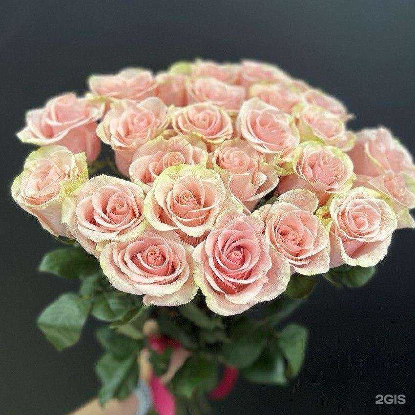 Отзывы на компанию Цветочная база в Архангельске c фото