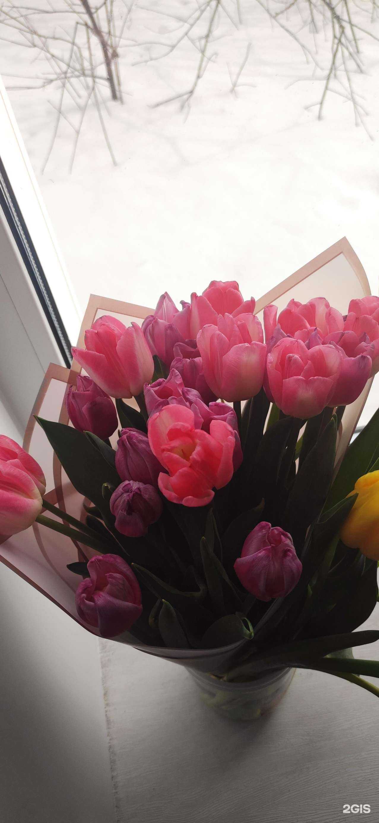 Отзывы на компанию Чечек21 в г. Чебоксары c фото