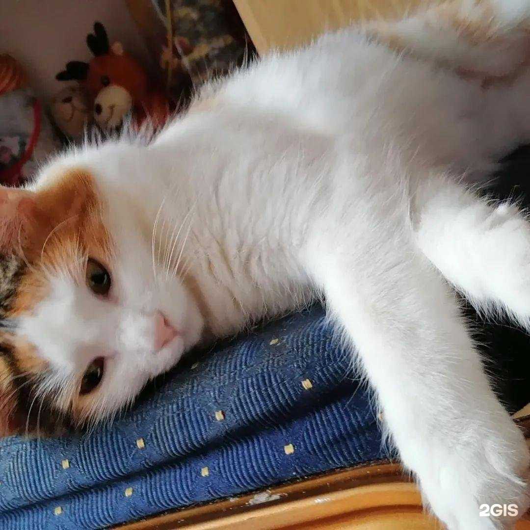 Отзывы на компанию Братья Разумовы в Волгограде c фото