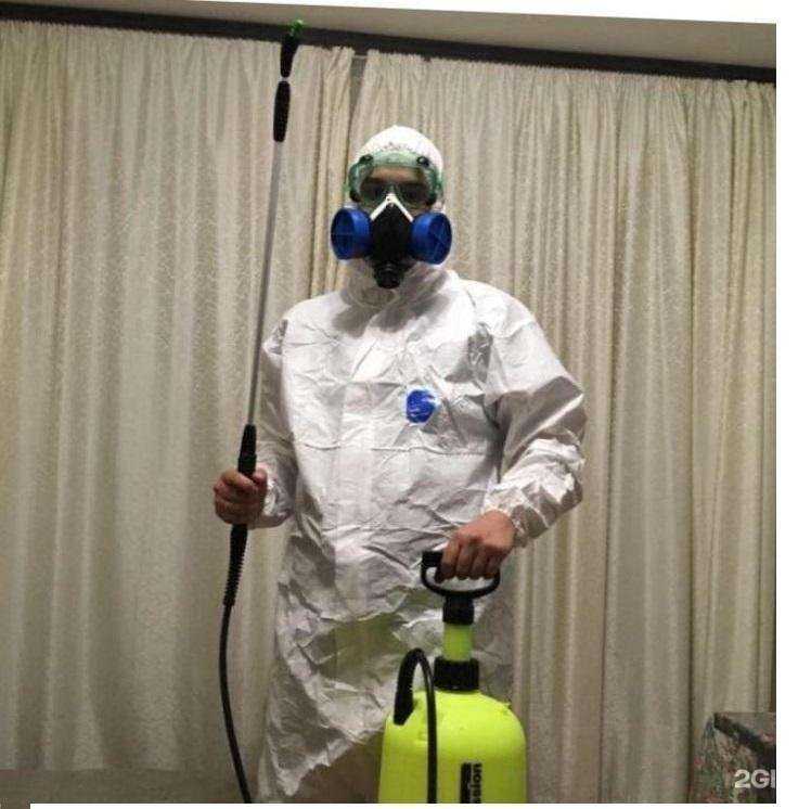 Отзывы на компанию Дез-Дом в г. Челябинск c фото