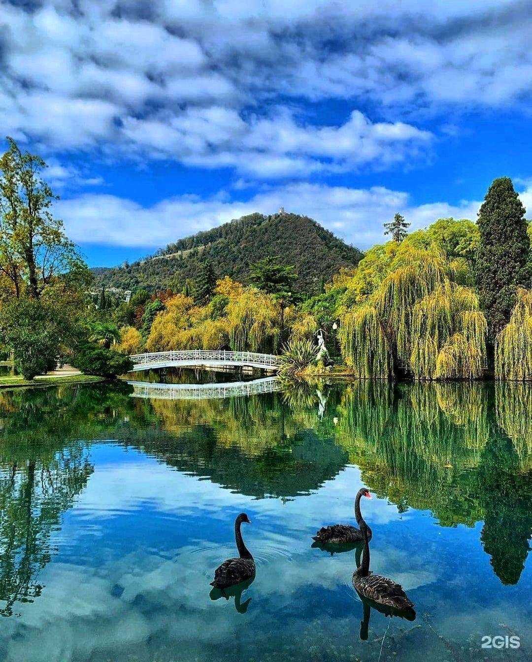 Отзывы на компанию Солнцетур в г. Шуя c фото