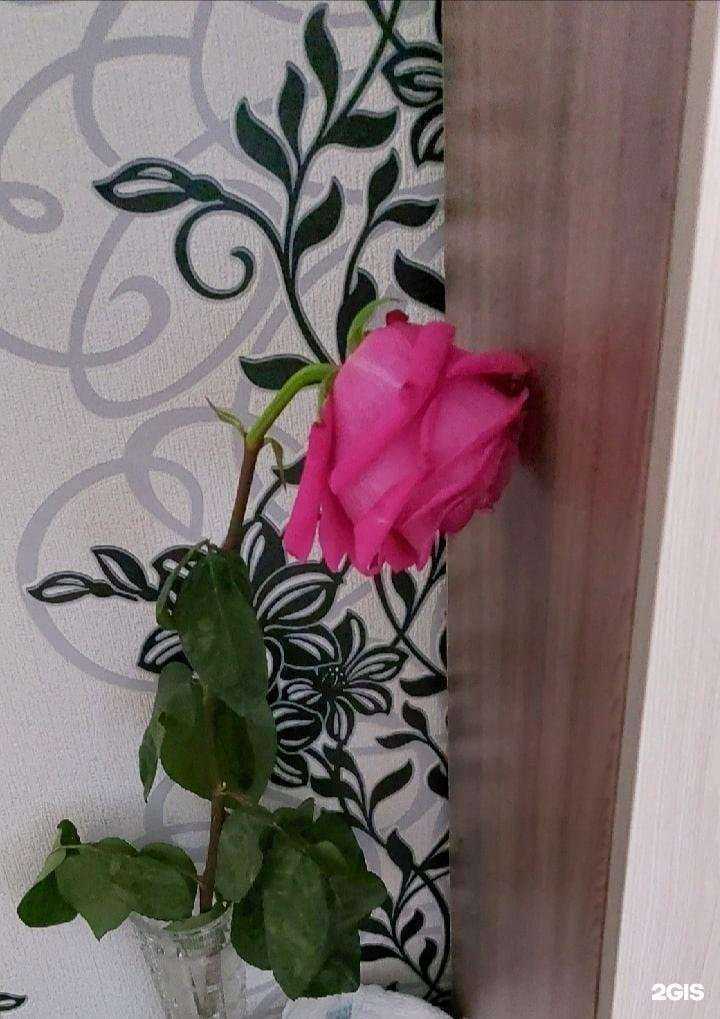 Отзывы на компанию Салон цветов в Златоусте c фото