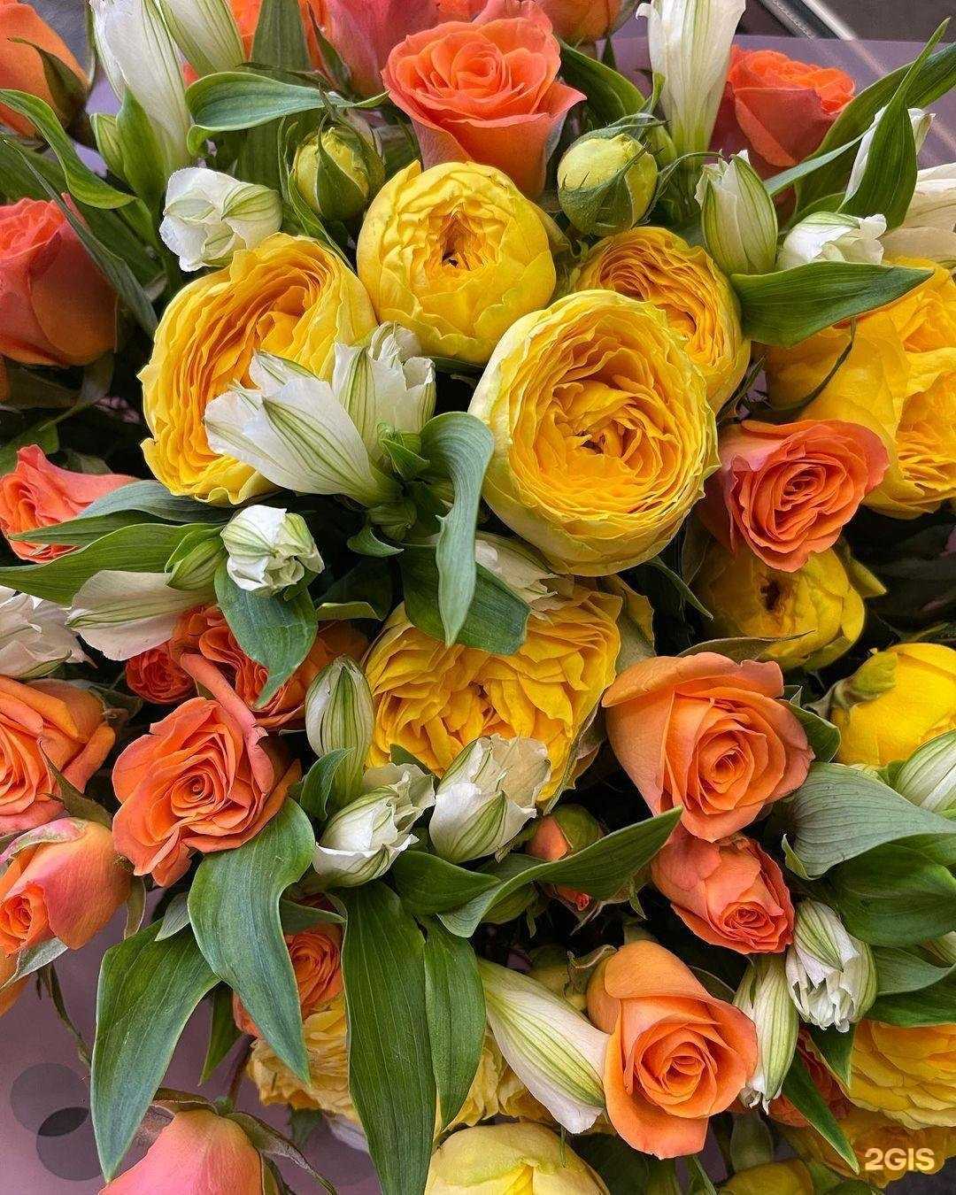 Отзывы на компанию Я люблю цветы в Гуси-Хрустальном c фото