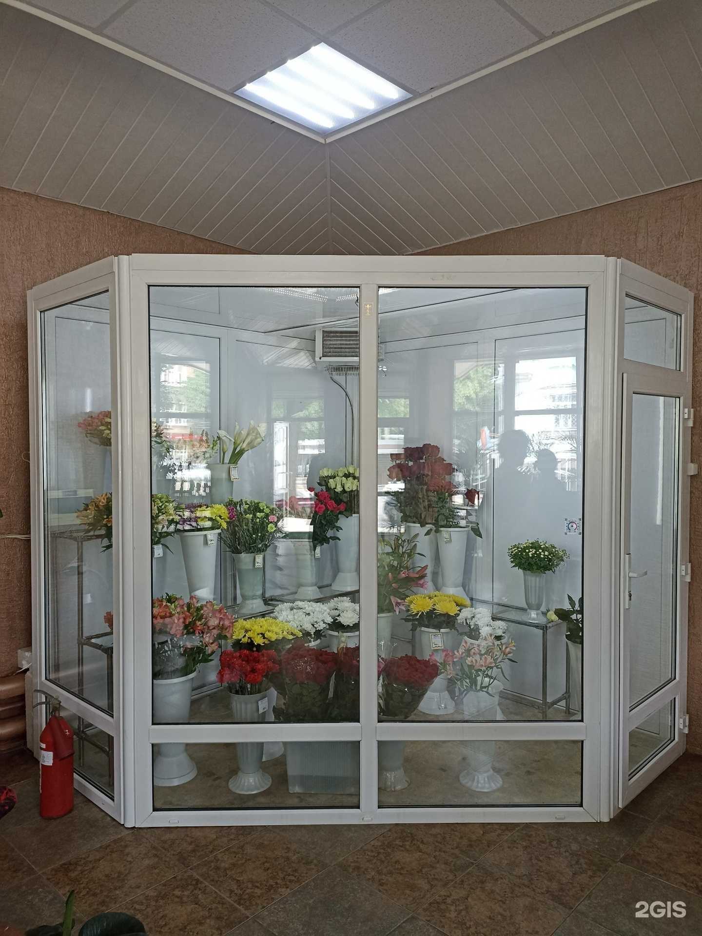 Отзывы на компанию Зеленый мир в Пятигорске c фото