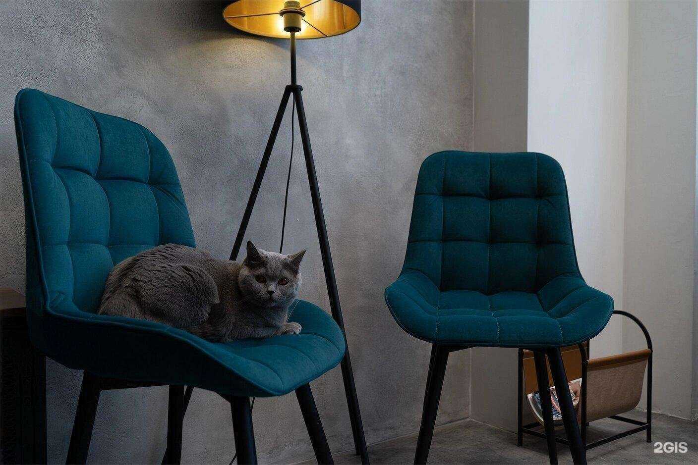 Отзывы на компанию Табурет в г. Пенза c фото