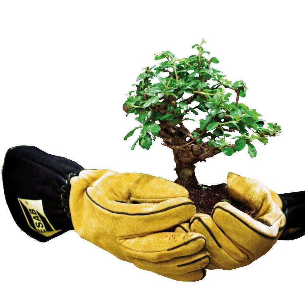 Отзывы на компанию Торгово-ремонтная компания в Тюмени c фото