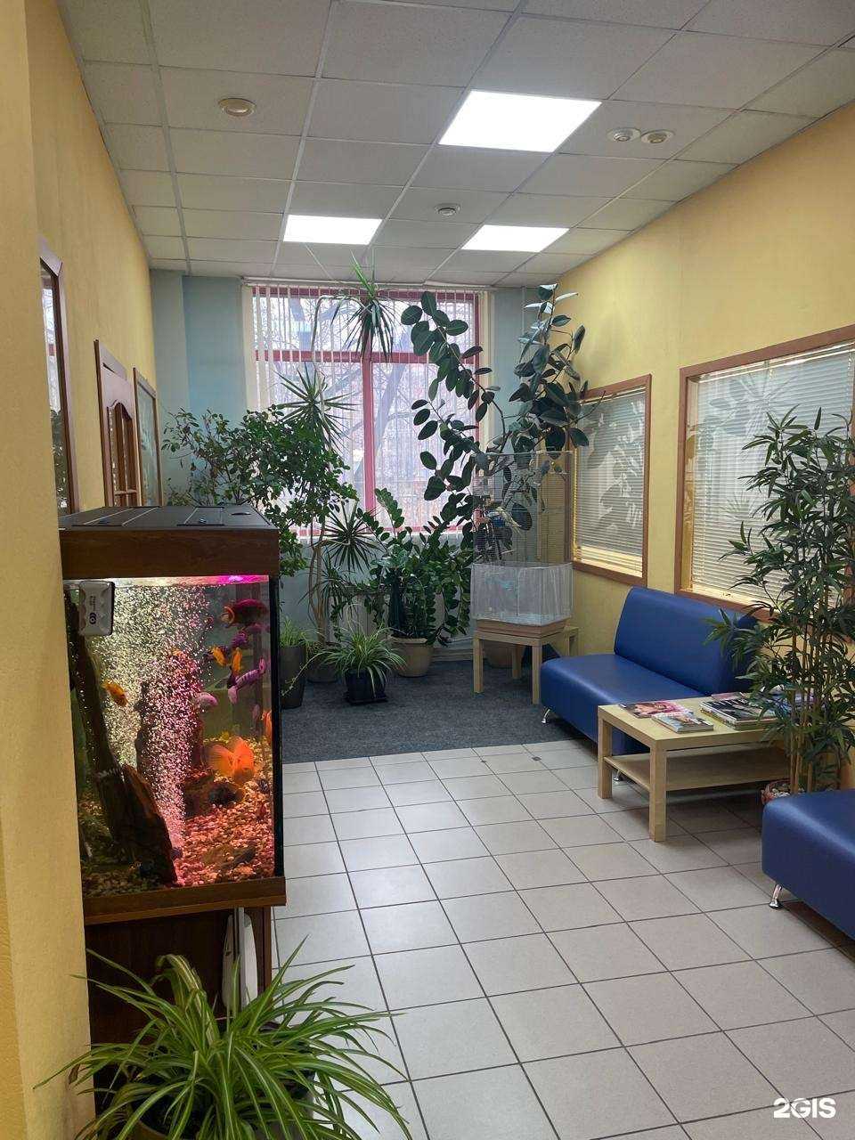 Отзывы на компанию Эстетика в г. Омск c фото