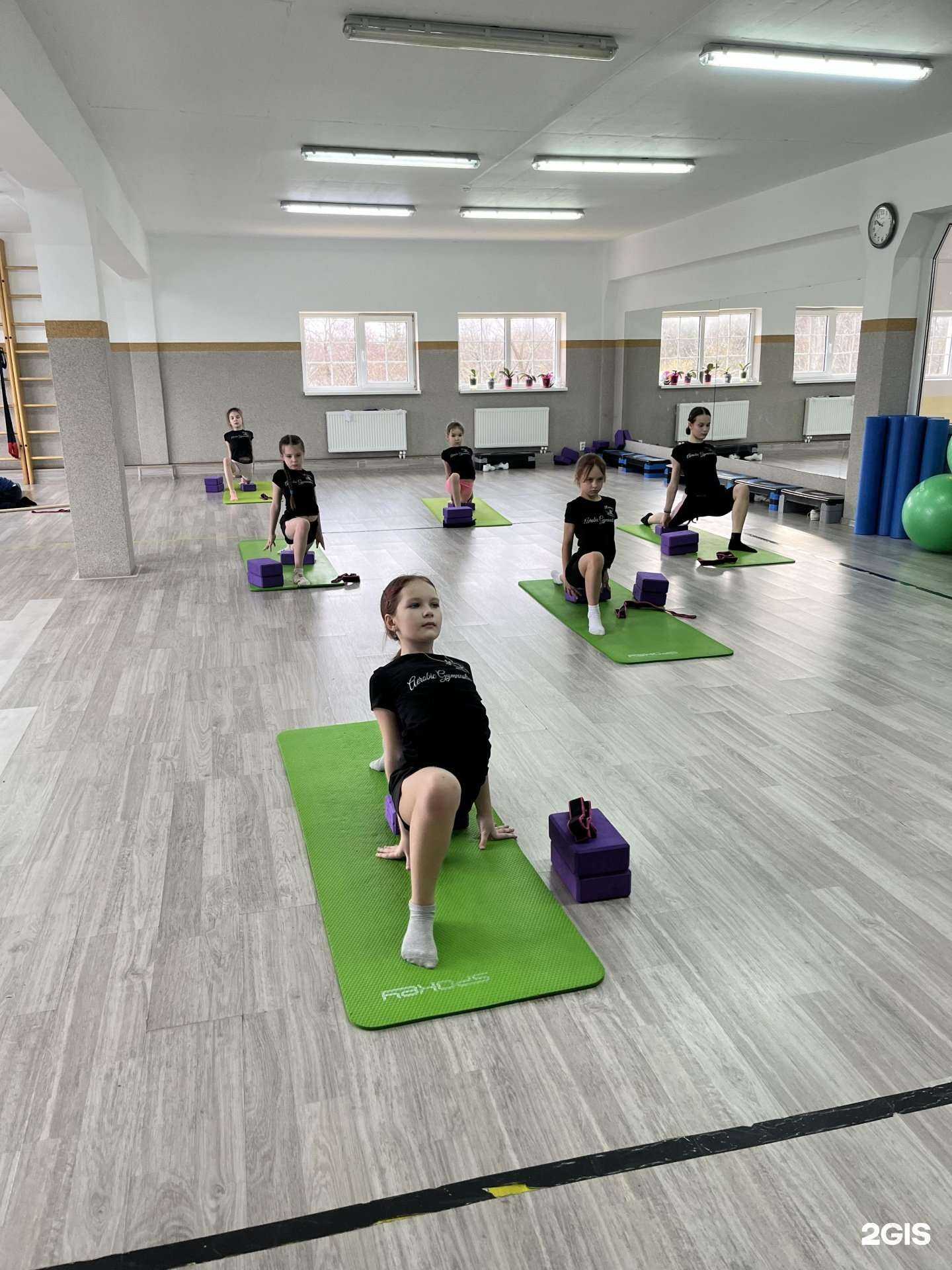 Отзывы на компанию Реверанс в Калининграде c фото