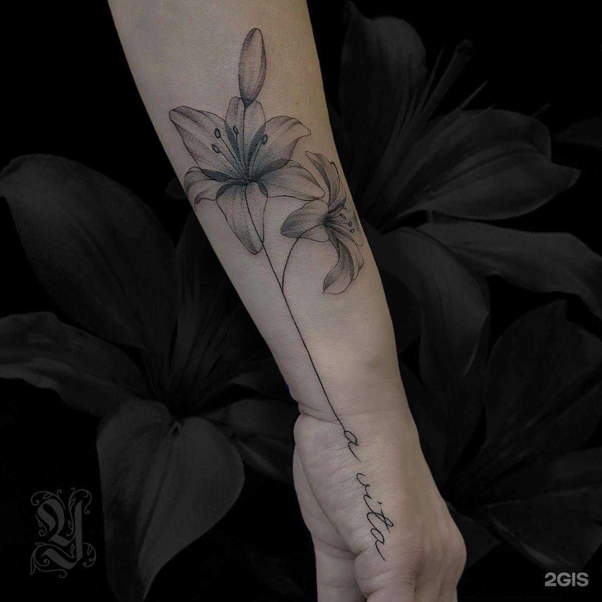 Отзывы на компанию У. Тату в г. Петрозаводск c фото