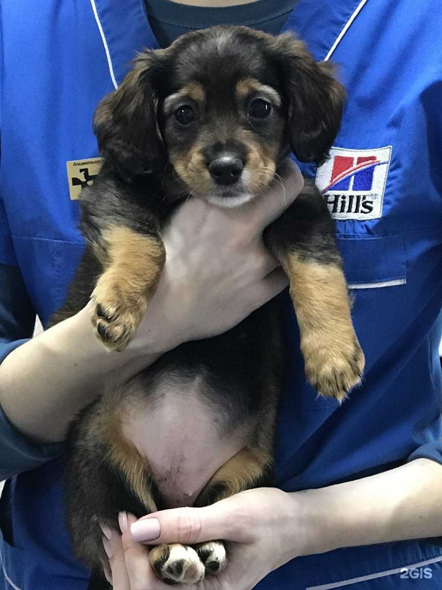 Отзывы на компанию Велес в Альметьевске c фото