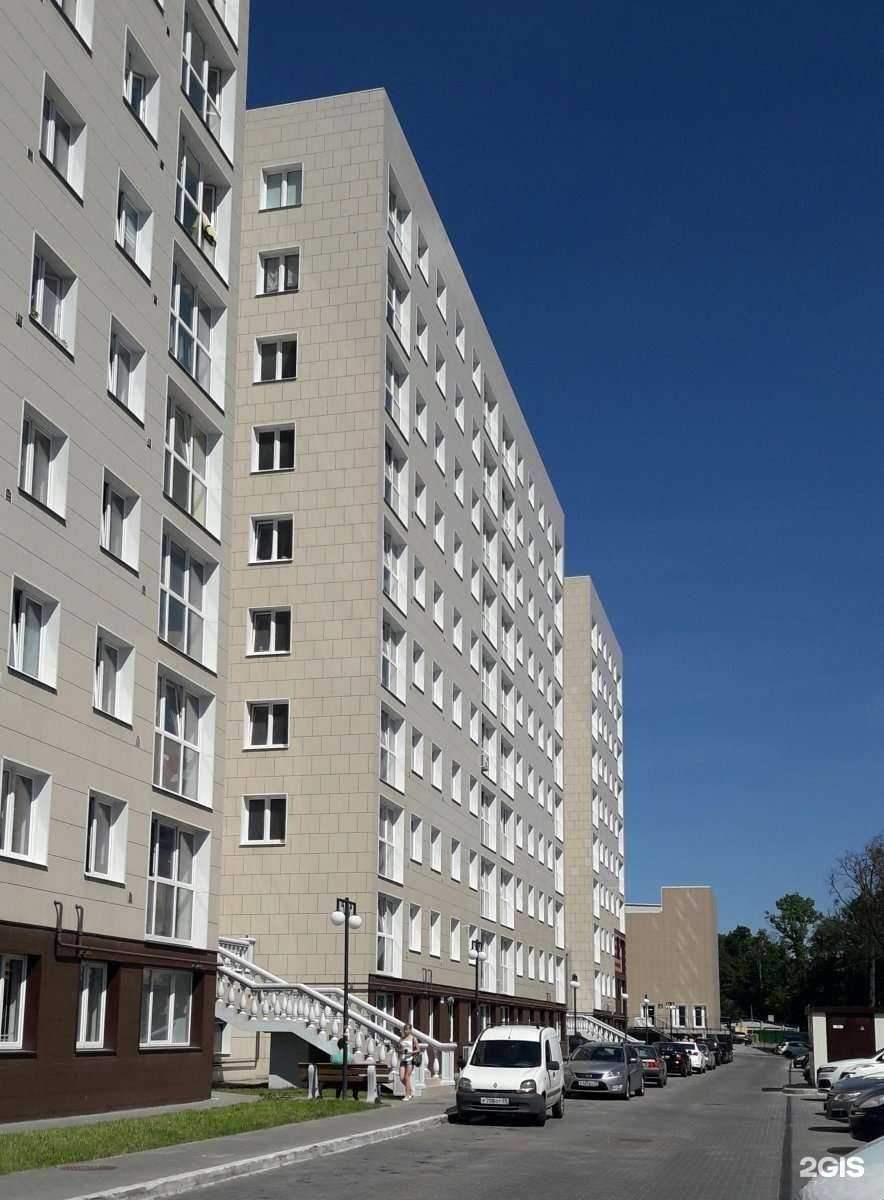 Отзывы на компанию Мармелад в Калининграде c фото - фотография 2 из 2