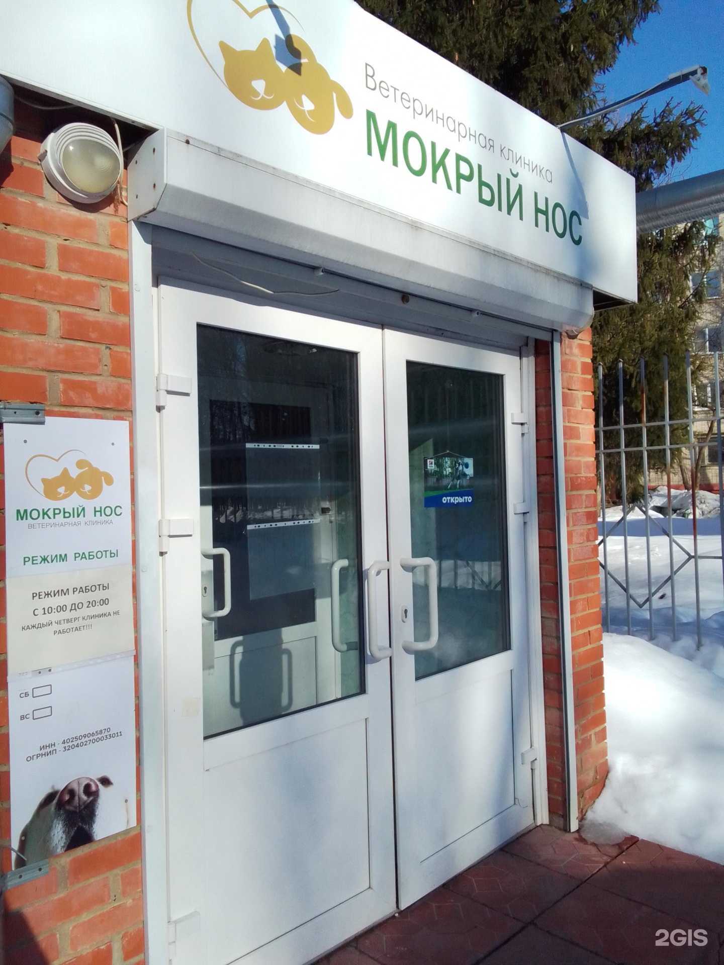 Отзывы на компанию Мокрый нос в Обнинске c фото