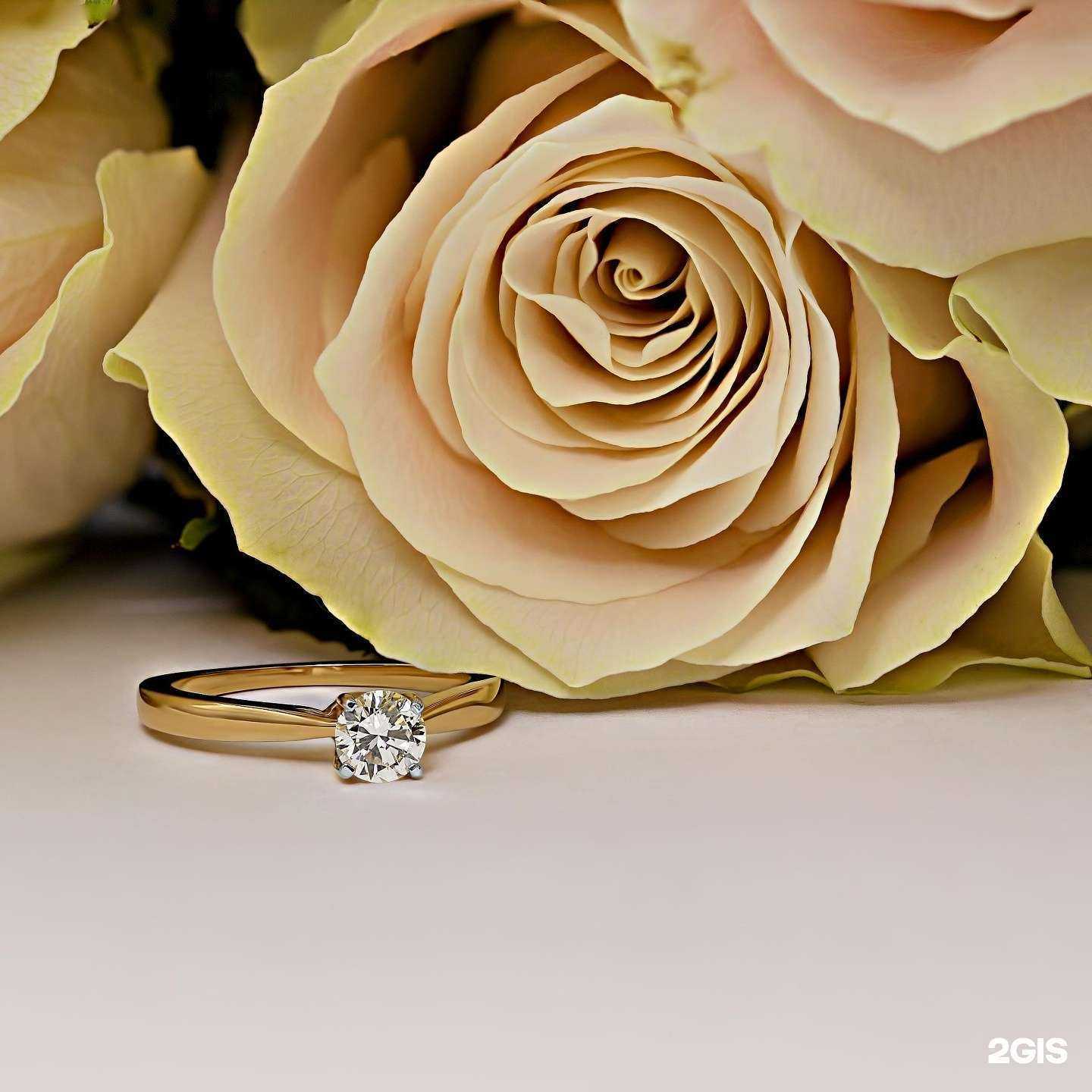 Отзывы на компанию VeraGold в Нижнем Новгороде c фото