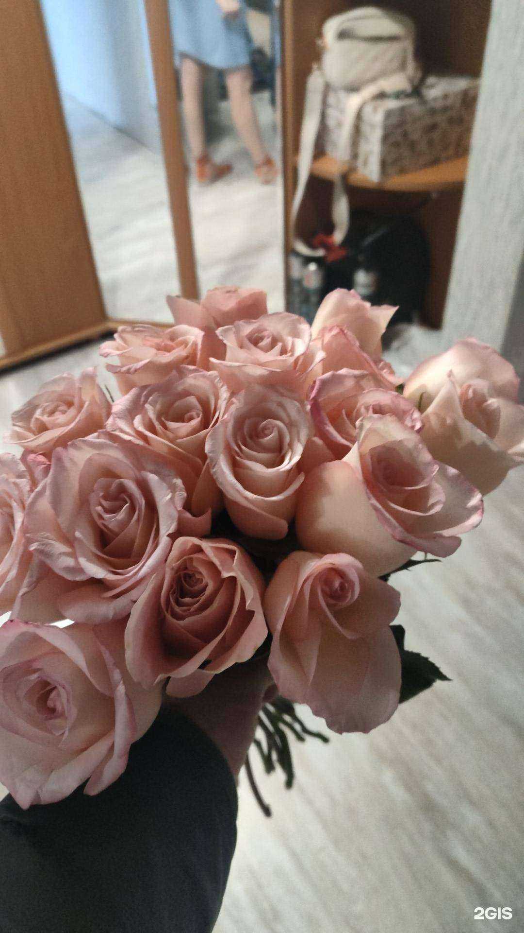 Отзывы на компанию Sibiris в г. Красноярск c фото