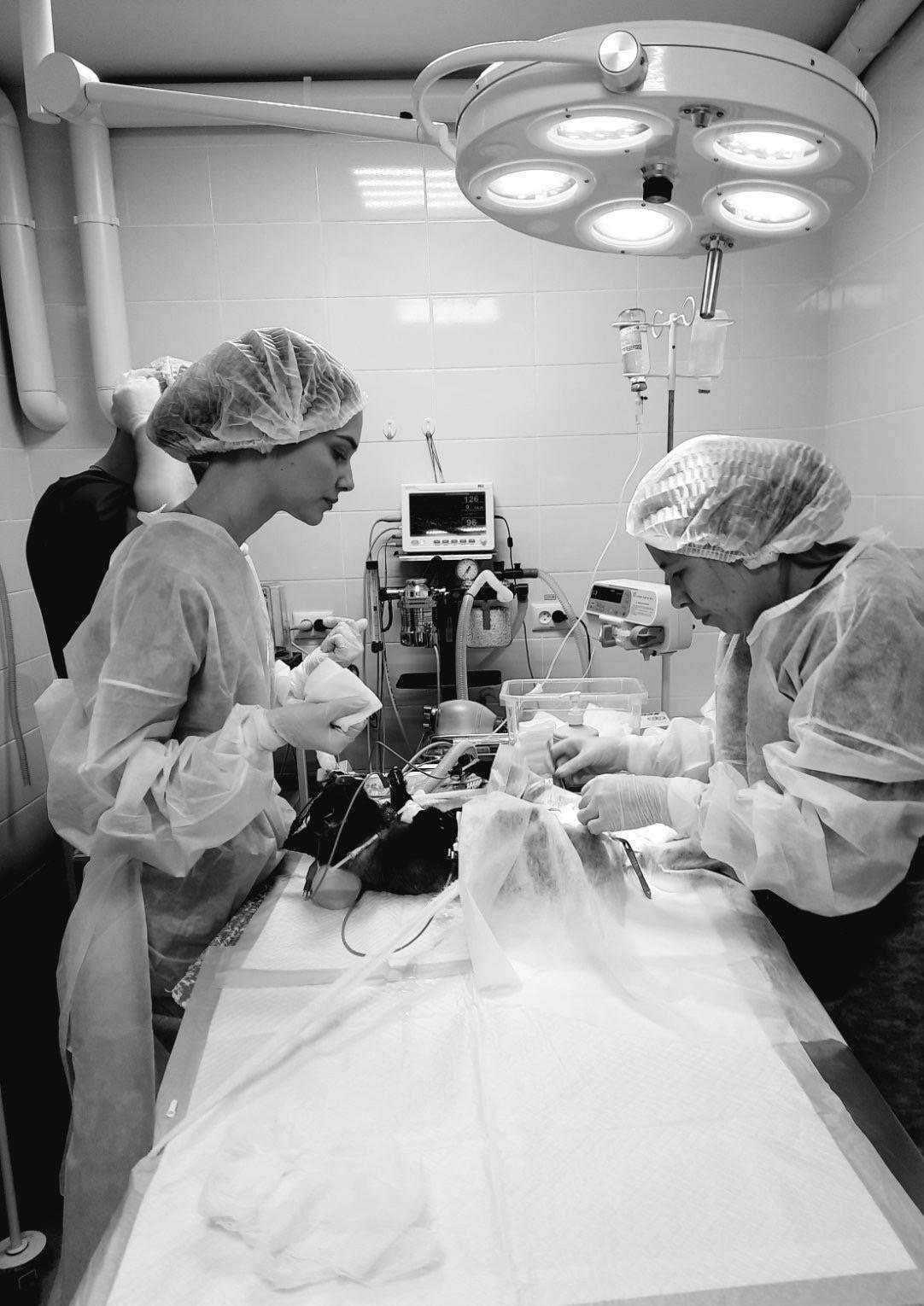 Отзывы на компанию 9 жизней в г. Ульяновск c фото