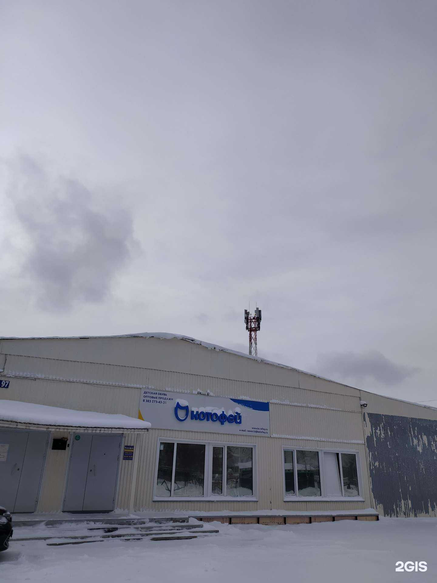 Отзывы на компанию Котофей в Новосибирске c фото