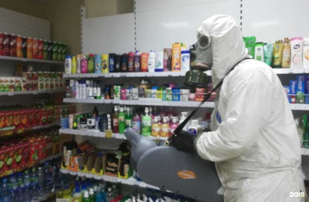 Отзывы на компанию Выездная служба дезинсекции в Новосибирске c фото