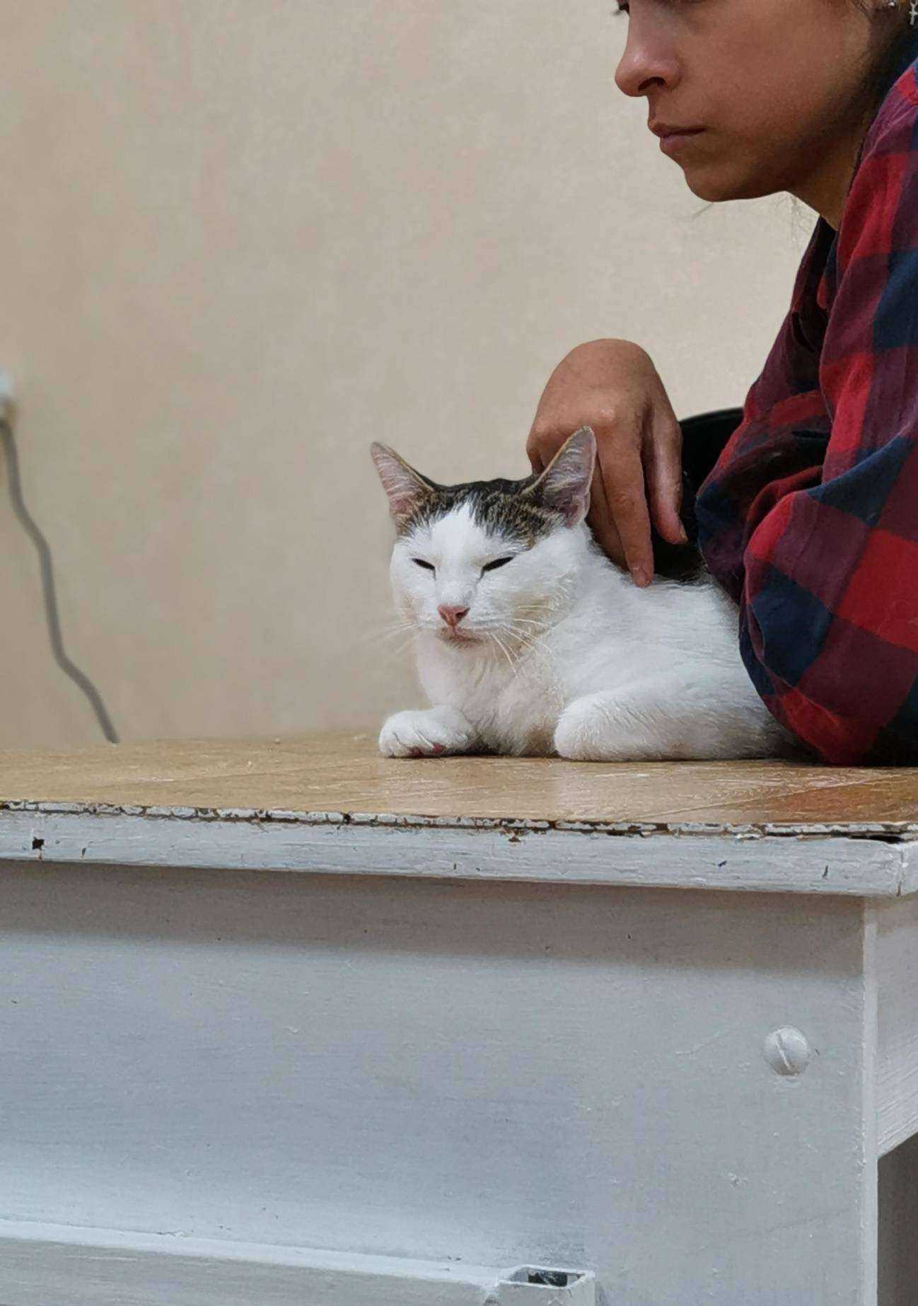 Отзывы на компанию 4 с хвостиком в Томске c фото