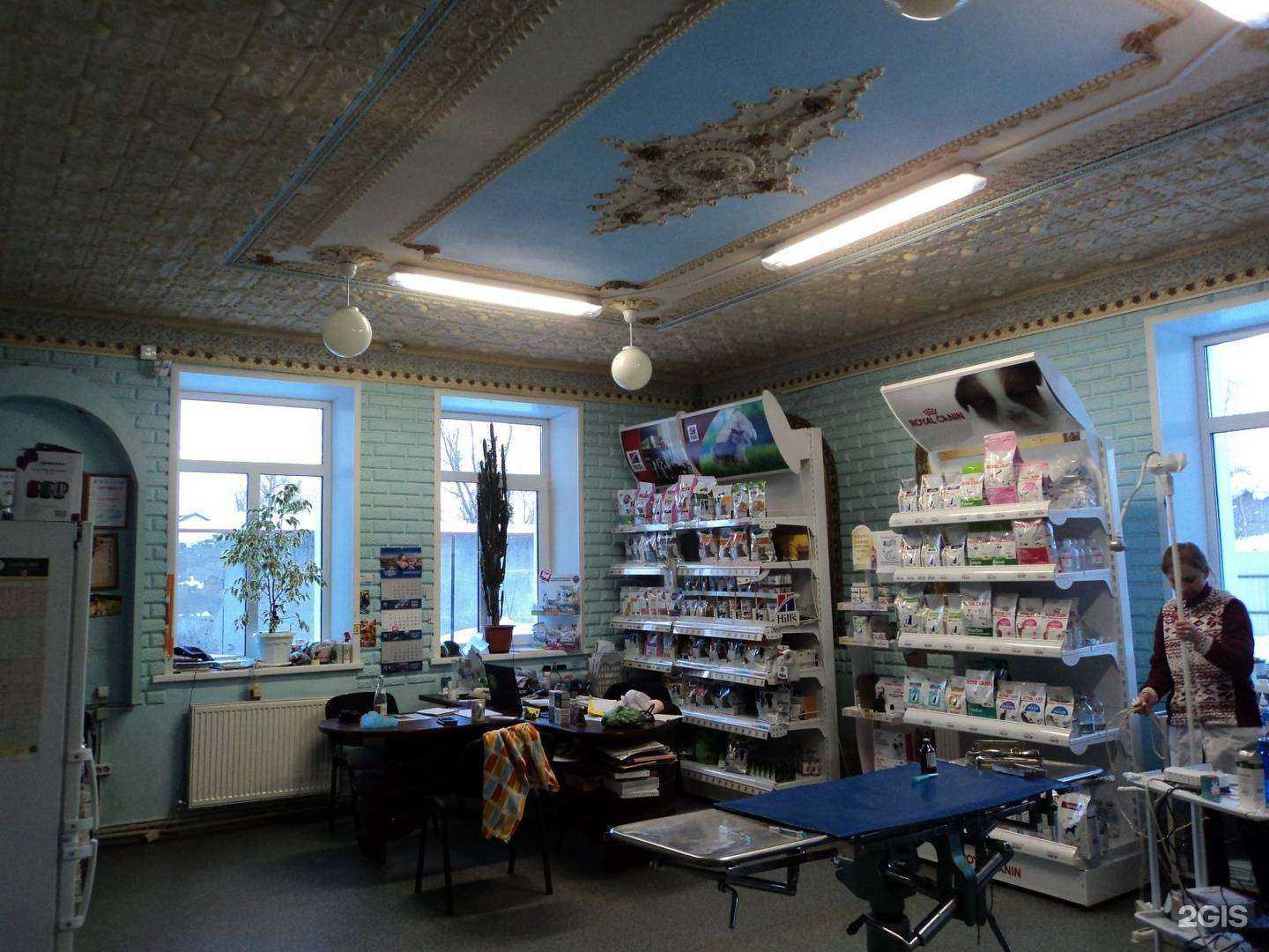 Отзывы на компанию Солнечный Лев в Иванове c фото