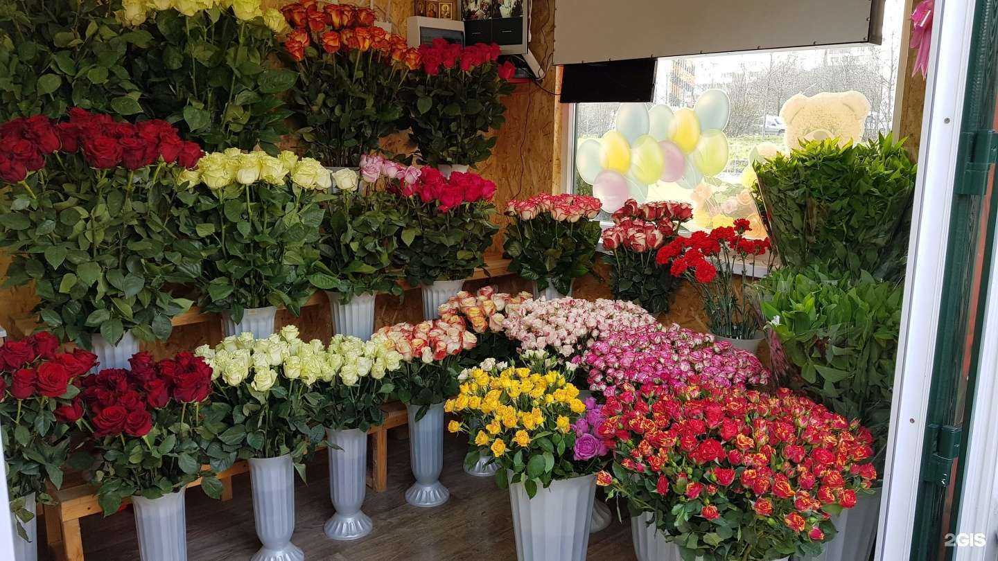 Отзывы на компанию Магазин цветов в г. Новороссийск c фото