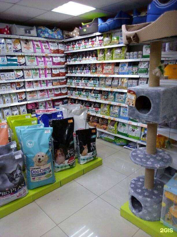 Отзывы на компанию Мир хвостатых в г. Екатеринбург c фото