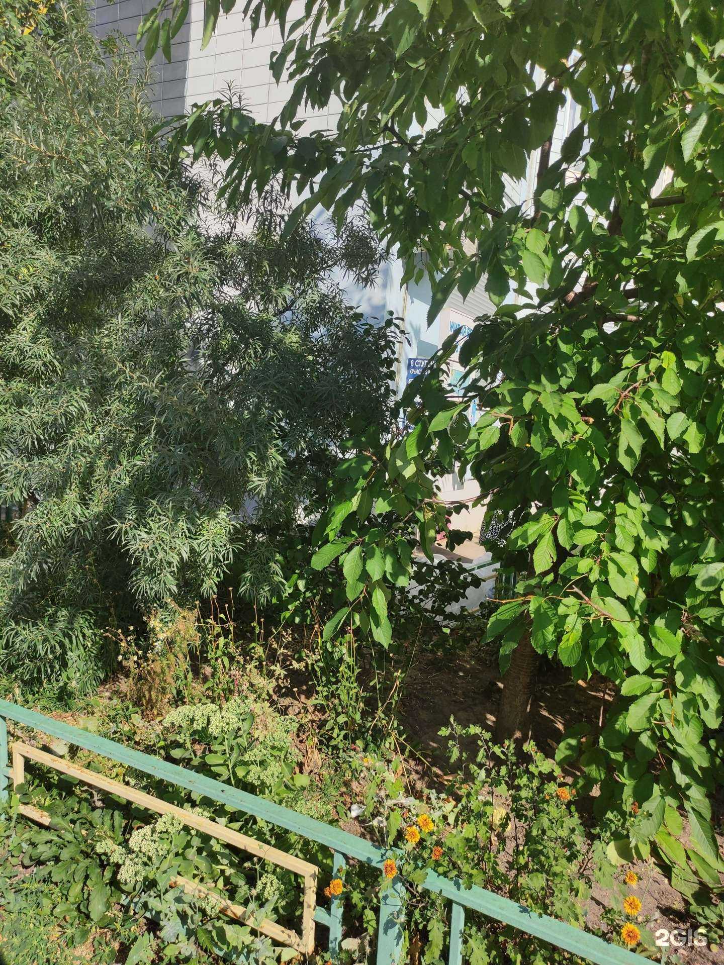 Отзывы на компанию Живой источник  в Одинцове c фото