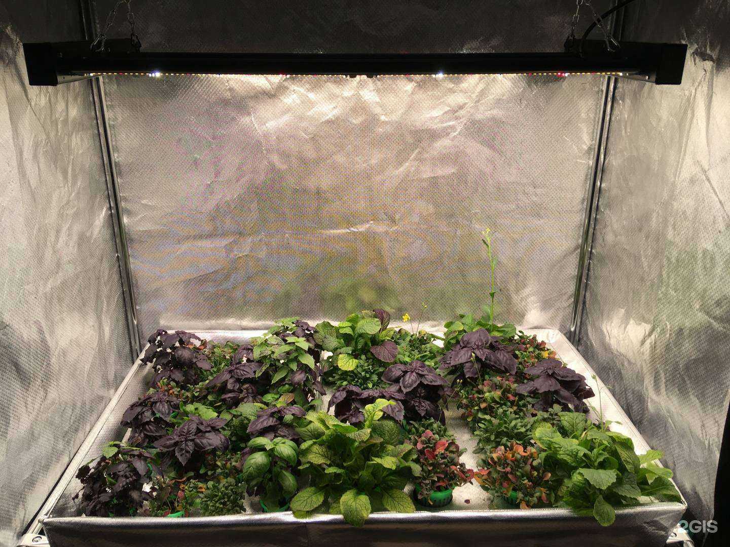 Отзывы на компанию GrowDom в г. Красноярск c фото