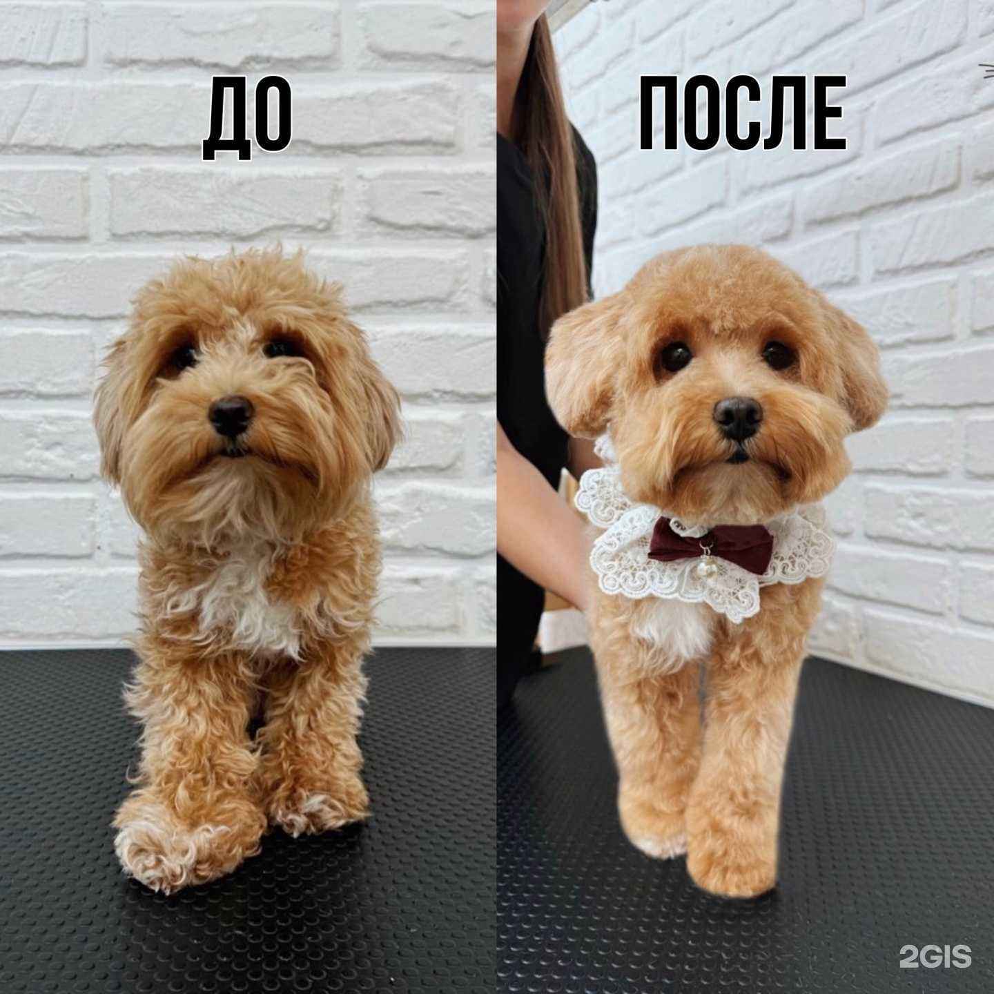 Отзывы на компанию Черный кот в г. Кострома c фото