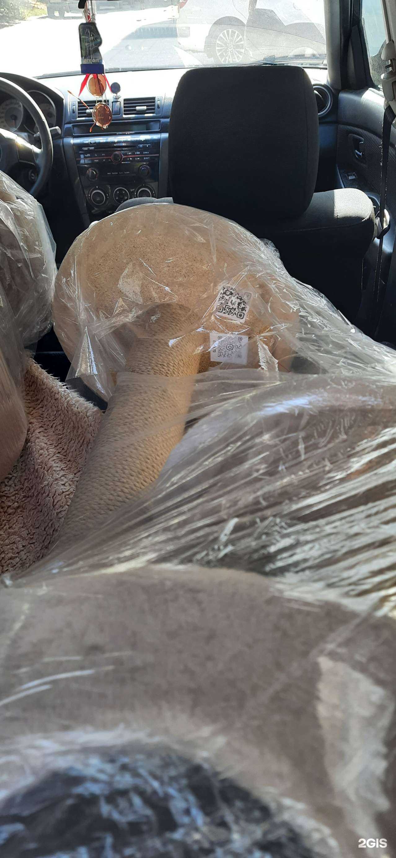 Отзывы на компанию Catsshop domik_73 в Ульяновске c фото