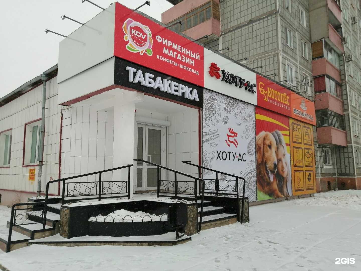 Отзывы на компанию Котопес в Комсомольске-на-Амуре c фото - фотография 2 из 2