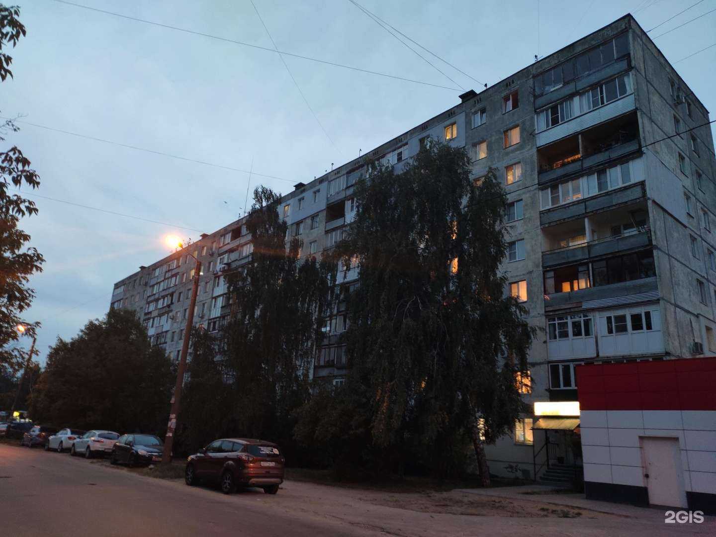 Отзывы на компанию Zoo в Нижнем Новгороде c фото - фотография 2 из 2