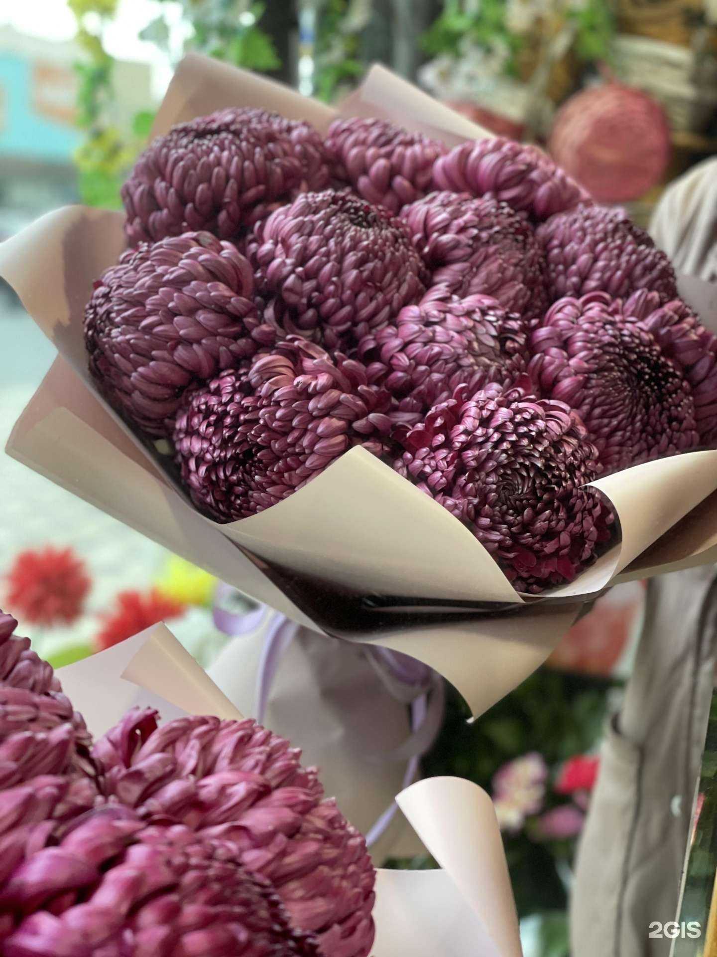 Отзывы на компанию Cvetik в г. Махачкала c фото