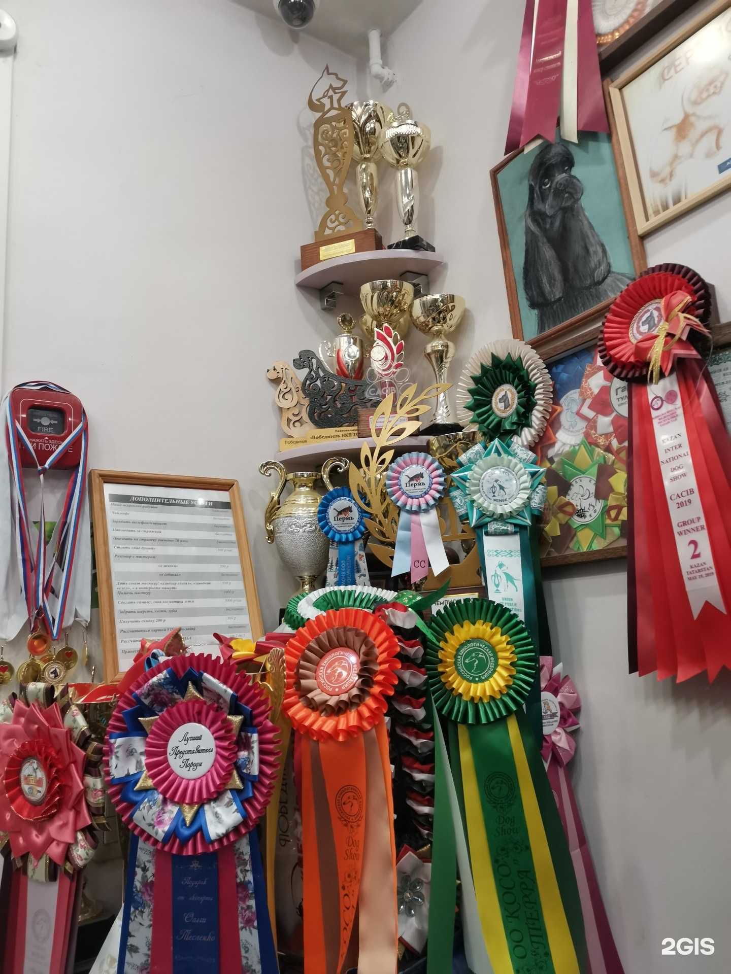 Отзывы на компанию Верный друг в г. Чебоксары c фото