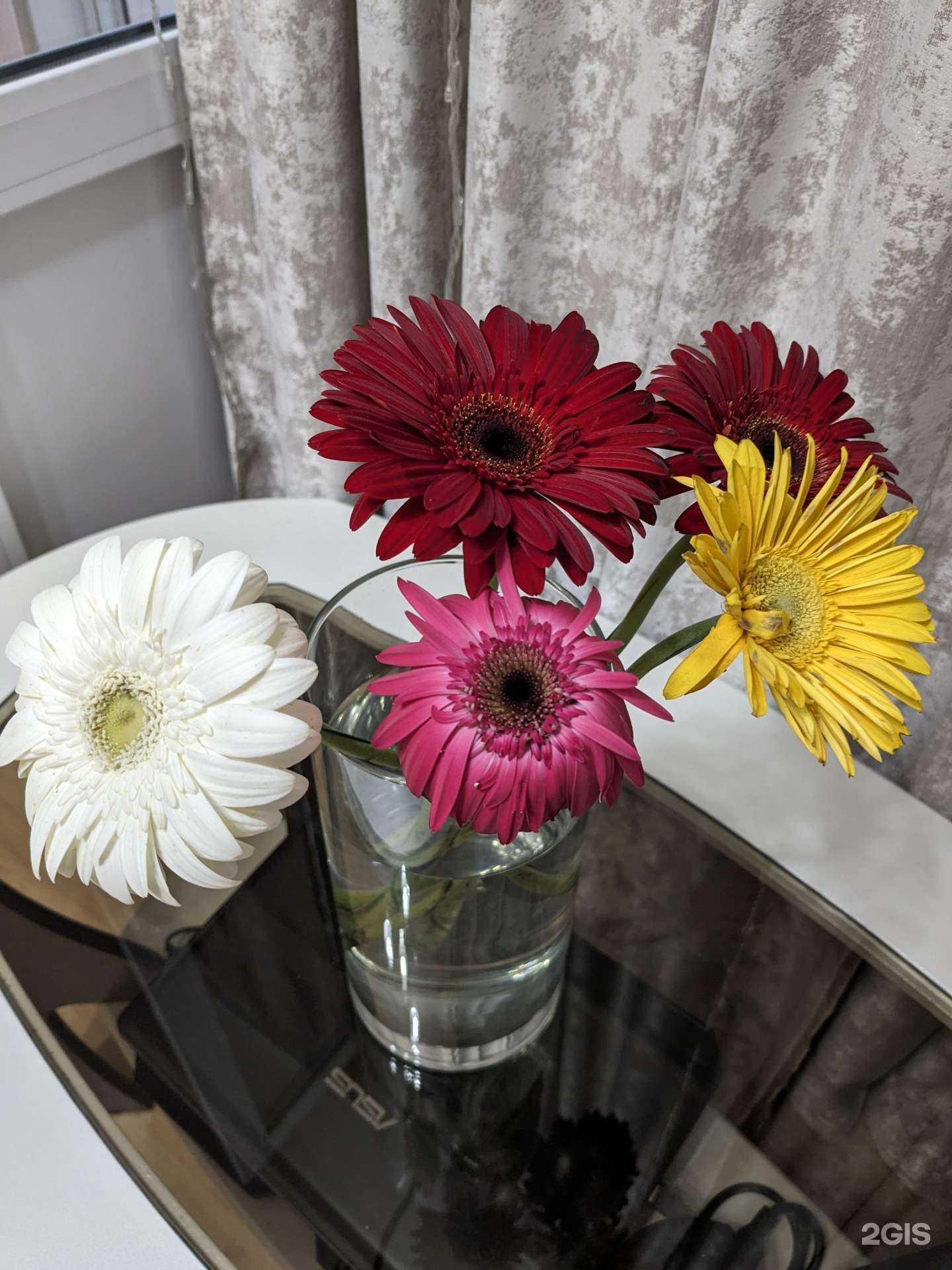 Отзывы на компанию Бамбук в Ангарске c фото