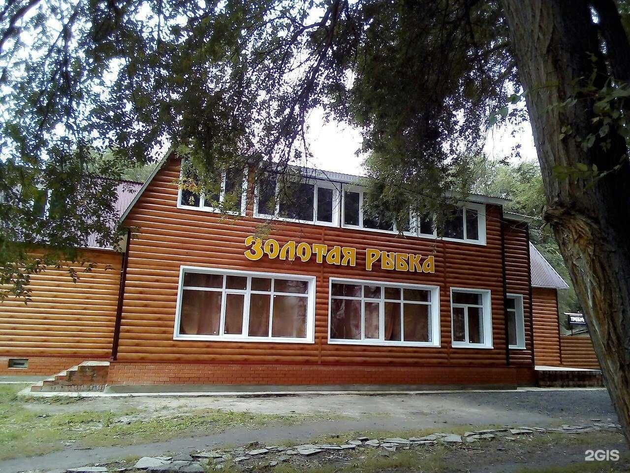 Отзывы на компанию Золотая рыбка в Ульяновске c фото