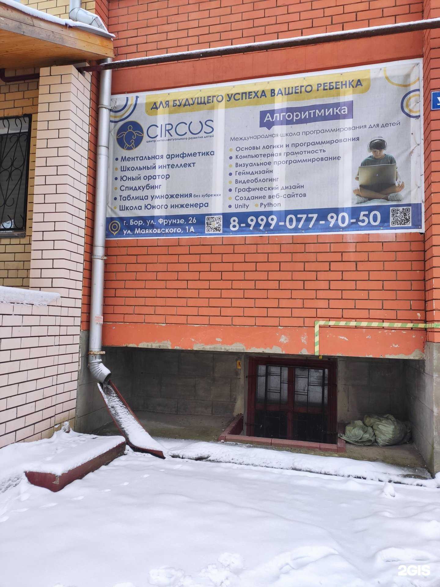 Отзывы на компанию Алгоритмика в Боре c фото