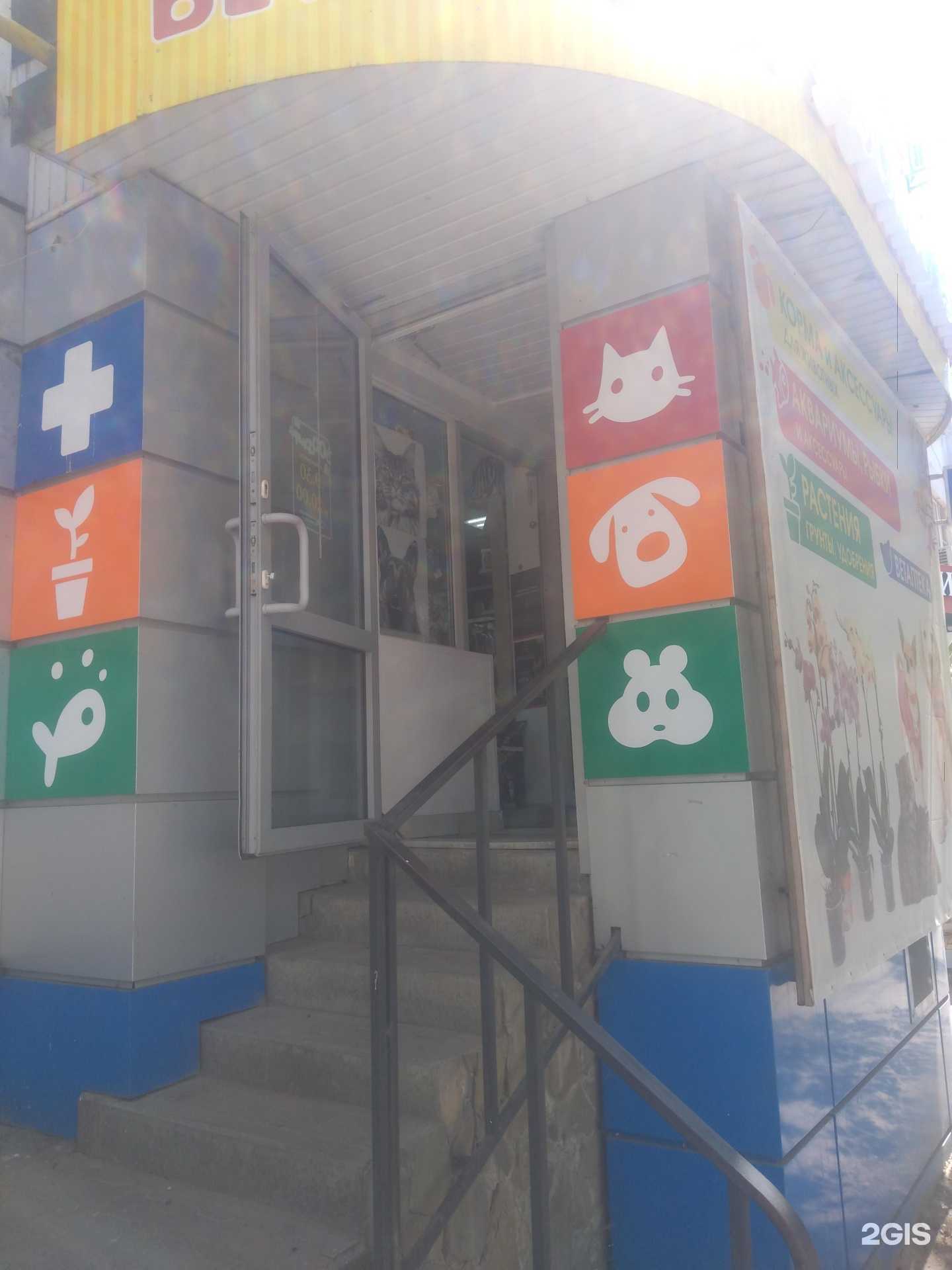 Отзывы на компанию Зоофлора в г. Ростов-на-Дону c фото