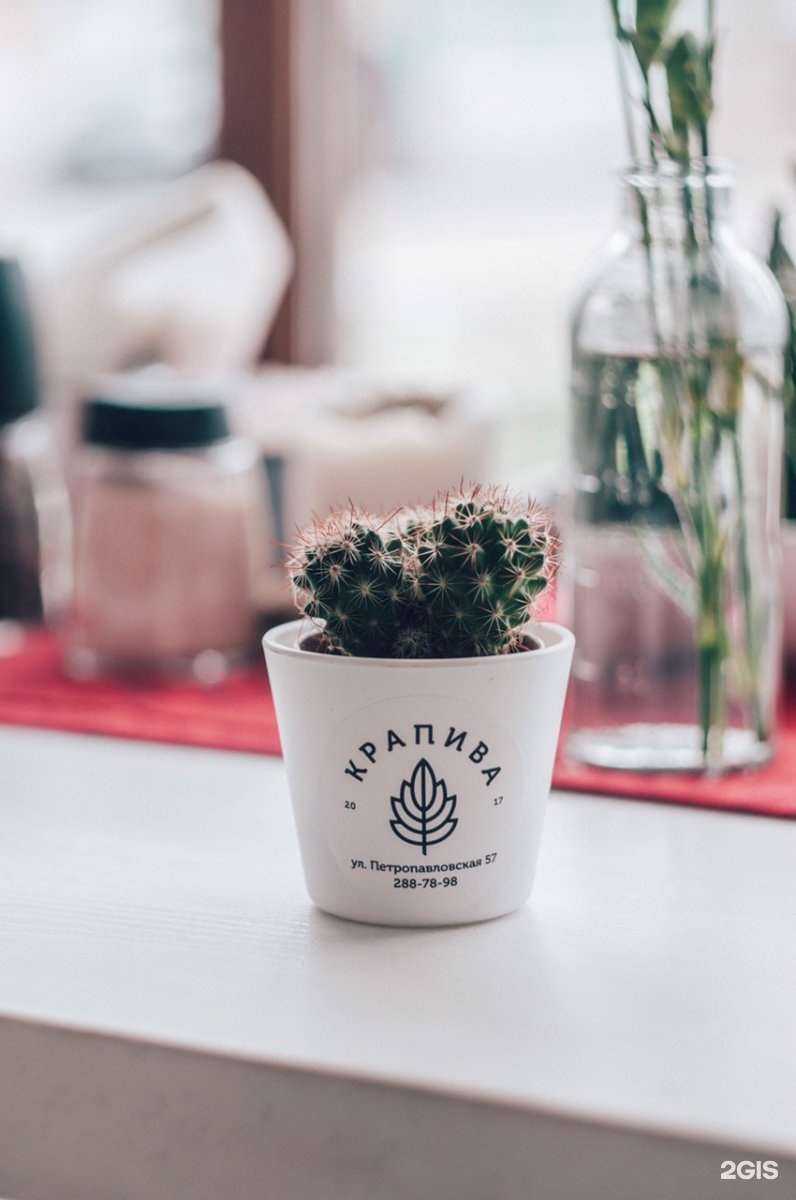 Отзывы на компанию Крапива в Перми c фото