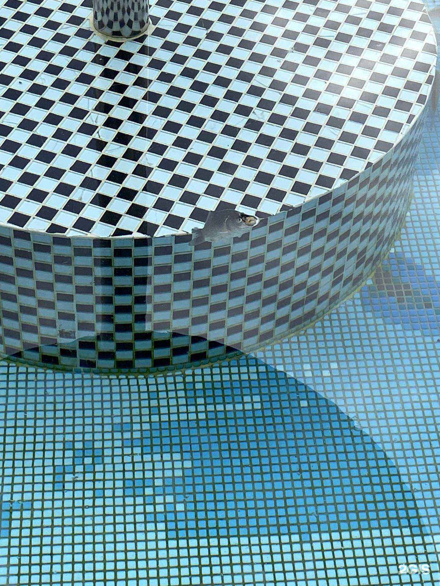 Отзывы на компанию Гостевой дом в Находке c фото - фотография 2 из 2