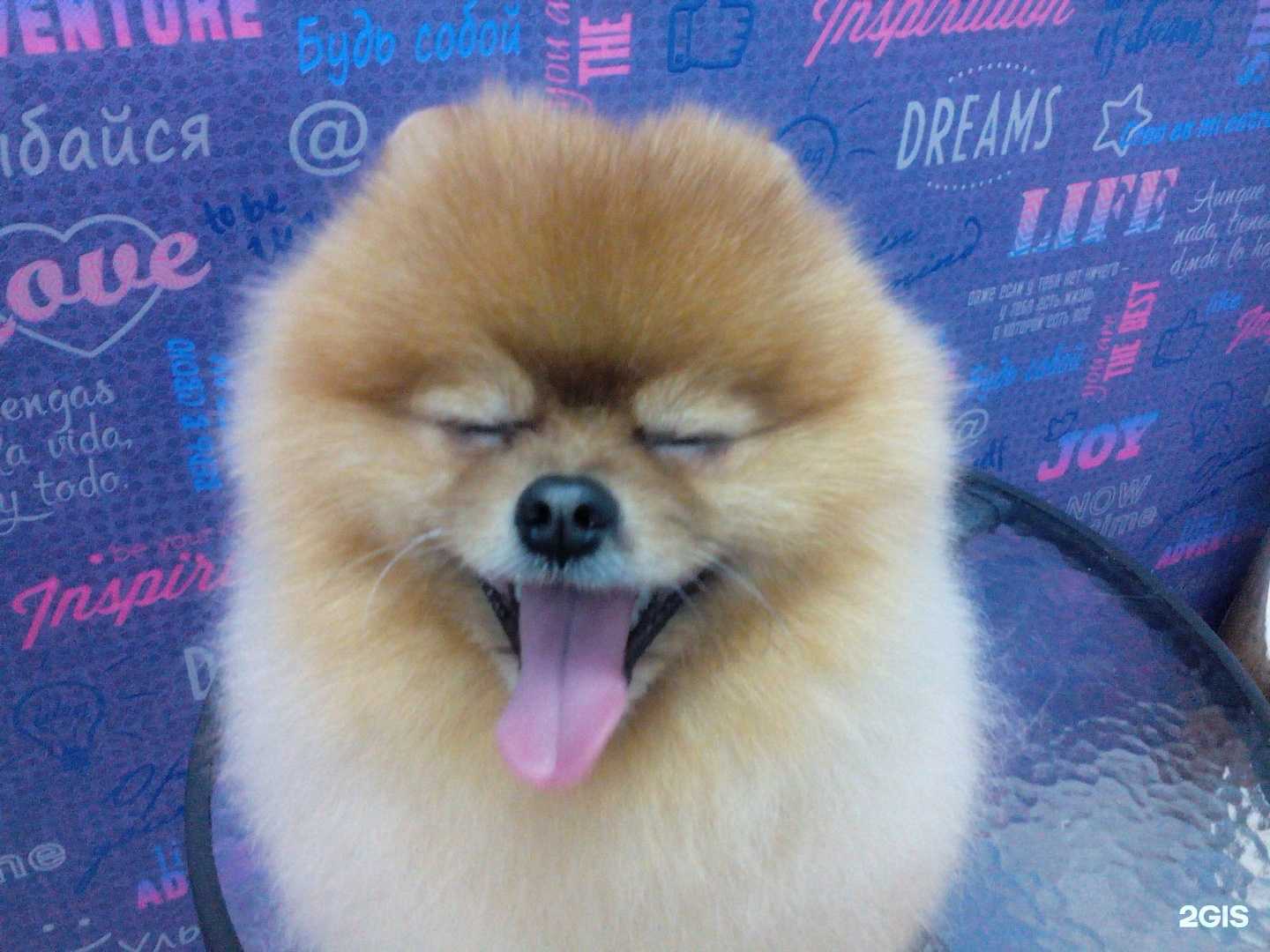 Отзывы на компанию амуррр в г. Петрозаводск c фото